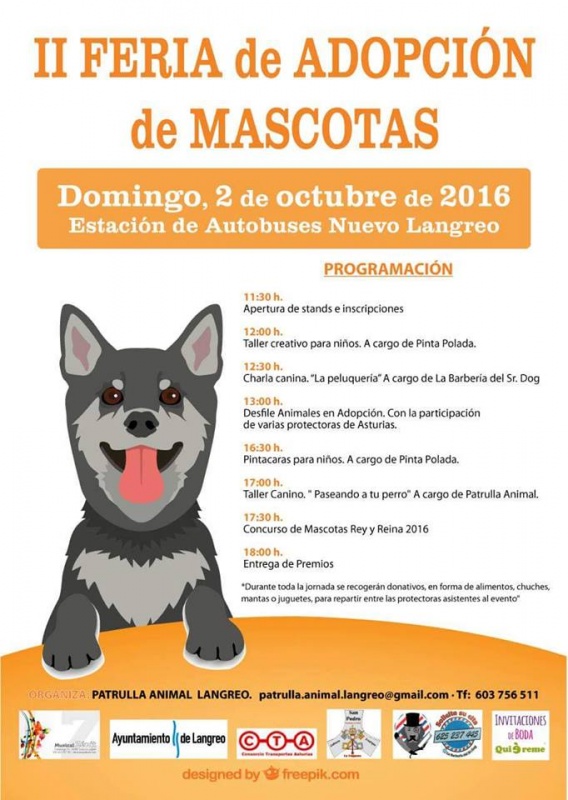 Foto II Feria de adopción de mascotas 