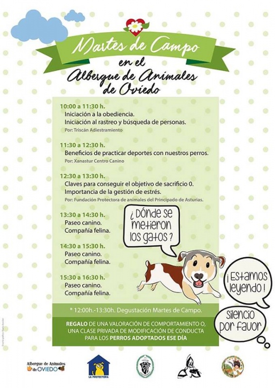 Foto Martes de Campo solidario en el Albergue de Oviedo