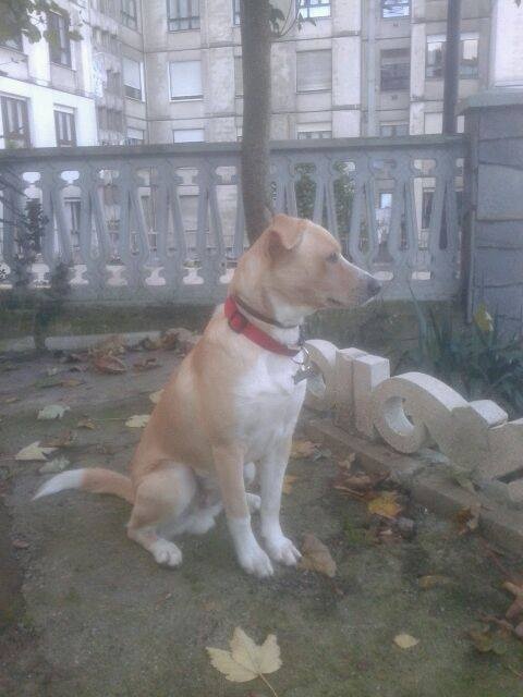 Foto Rubio