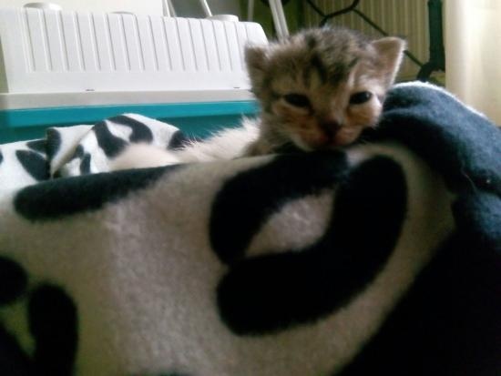 Foto Umi