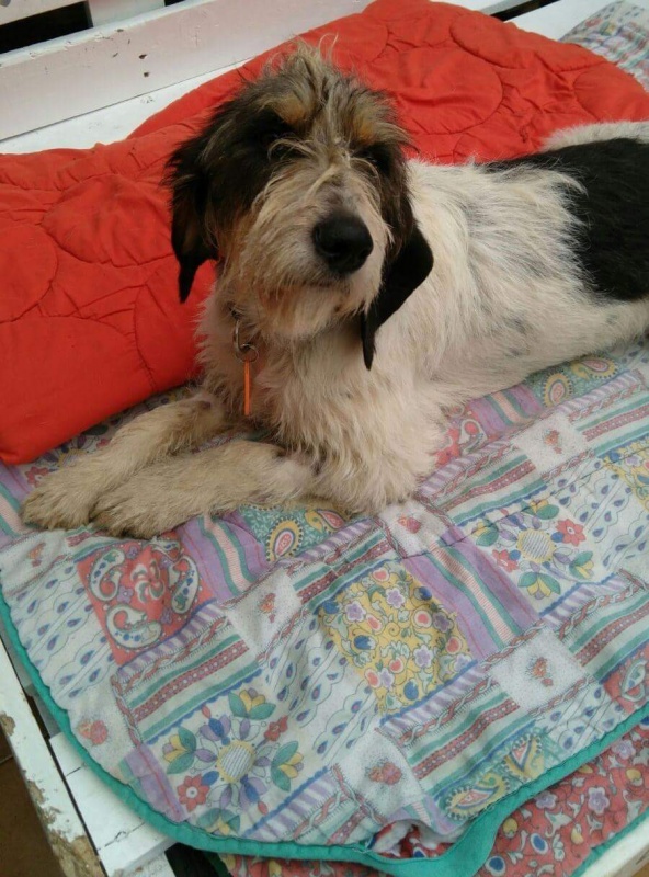 Foto Rua