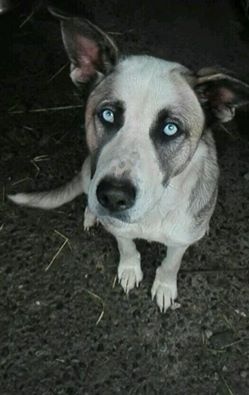 Foto Pepa