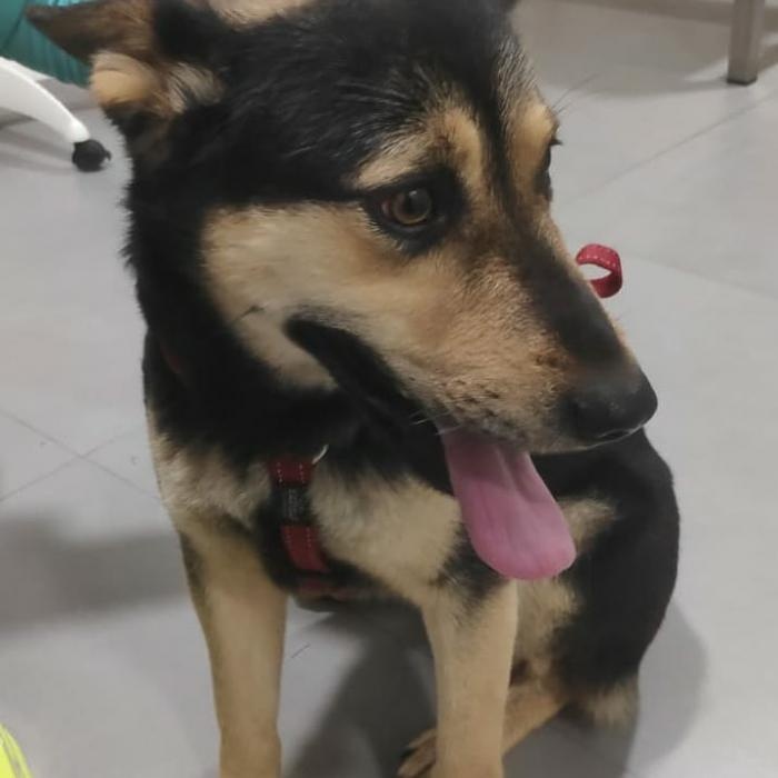 Foto Leo
