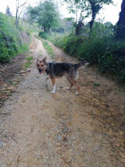 Foto Maggie