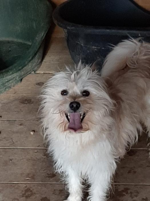 Foto Bolt