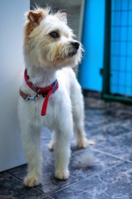 Foto Bolt
