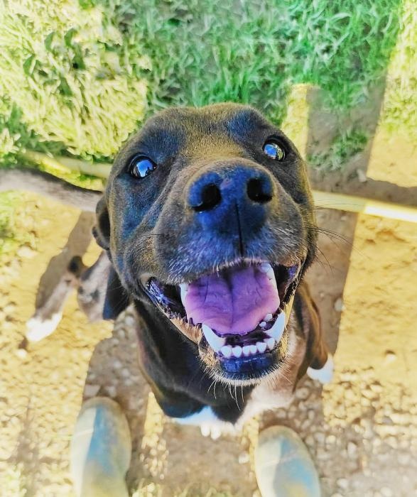 Foto EROS