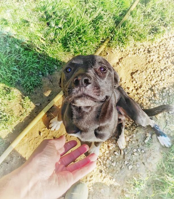 Foto EROS
