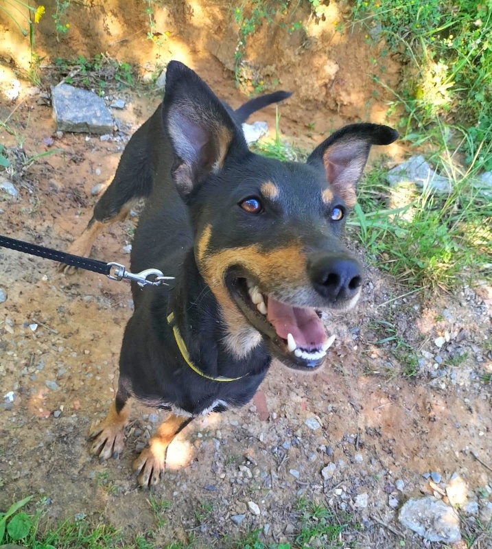 Foto Eros