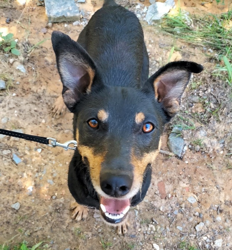 Foto Eros
