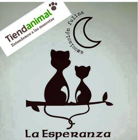 Foto Mercadillo Solidario en TiendAnimal (ParqueAstur)