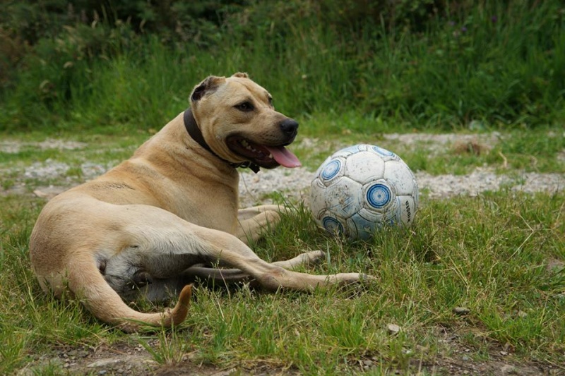 Foto Skaly