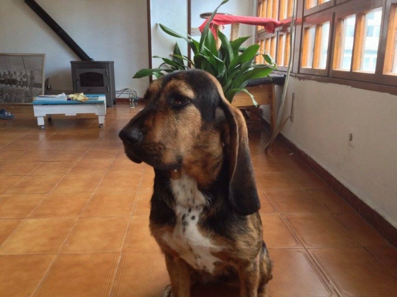 Foto Debra