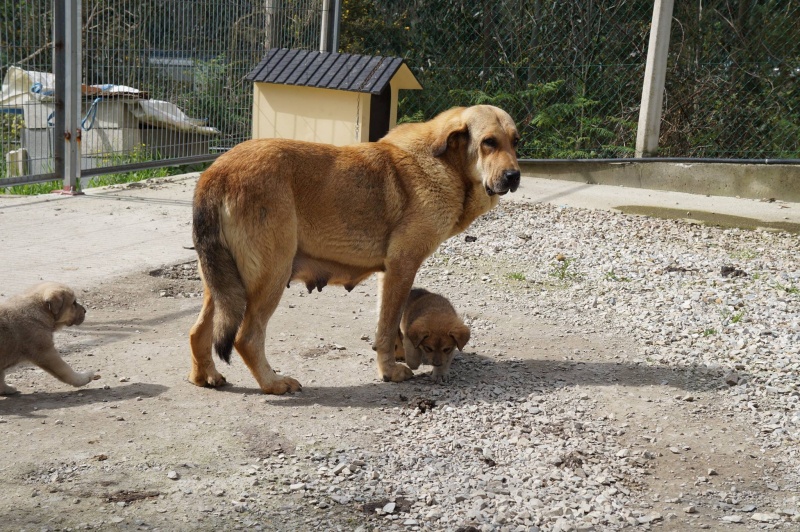 Foto Lila