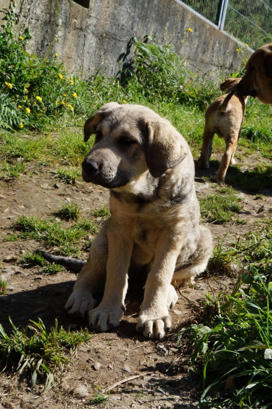 Foto Onza