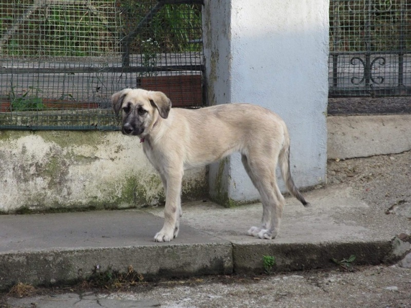 Foto Duda
