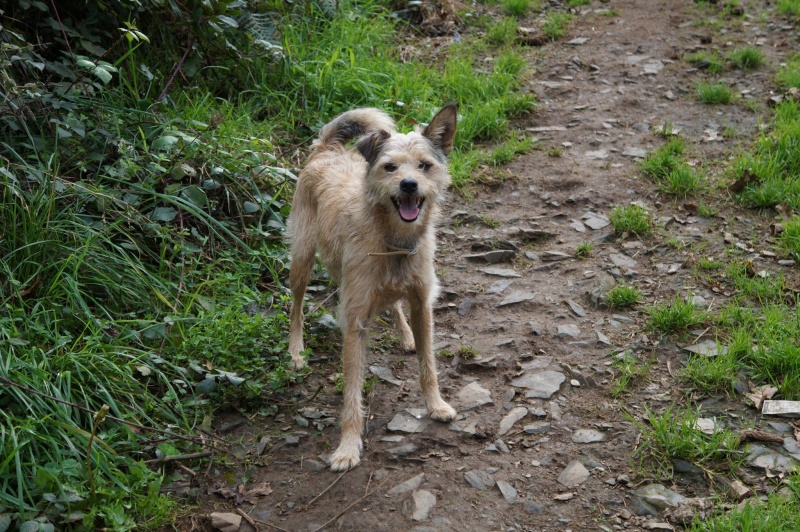 Foto Molly