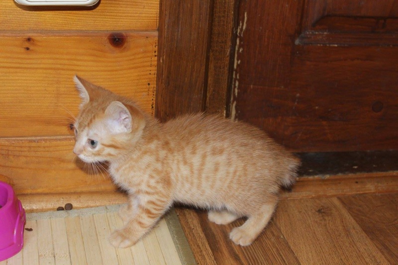 Foto Tail