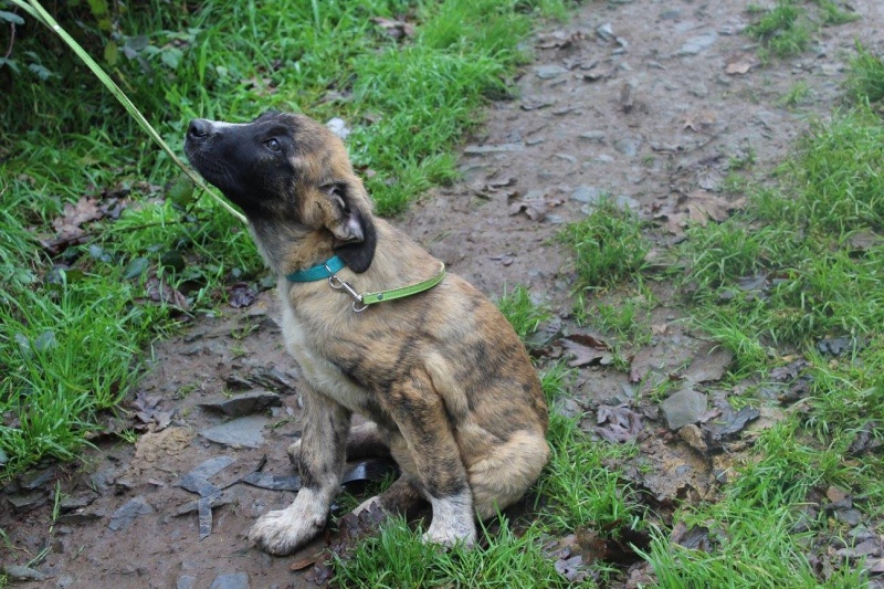 Foto Maya