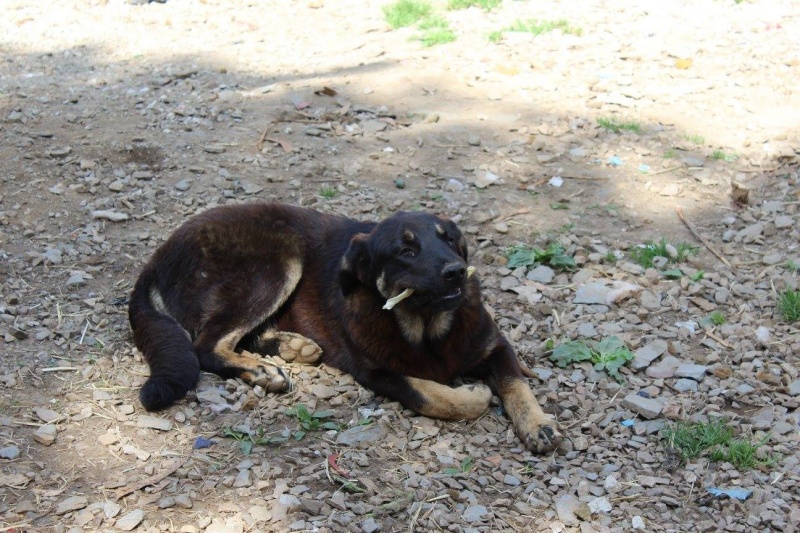 Foto Asli