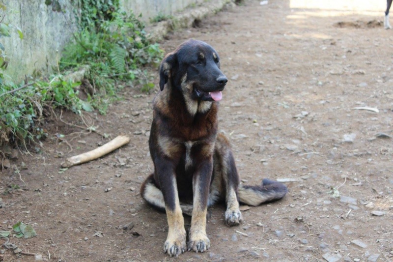 Foto Asli