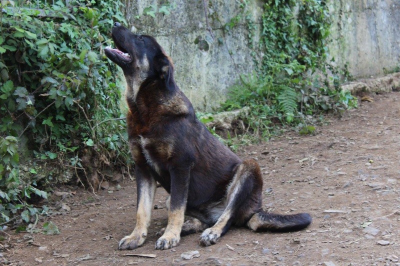 Foto Asli