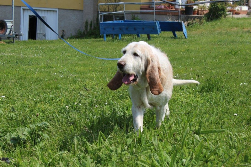 Foto Iroko
