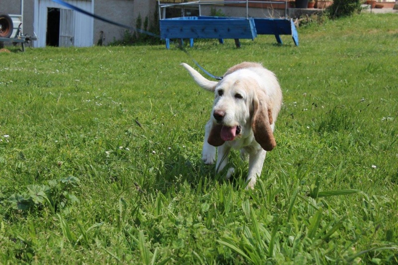 Foto Iroko