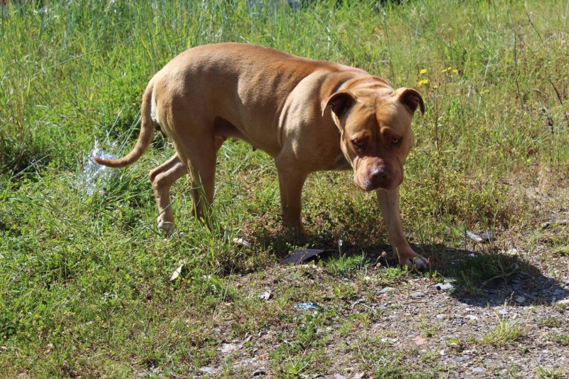 Foto Kiara