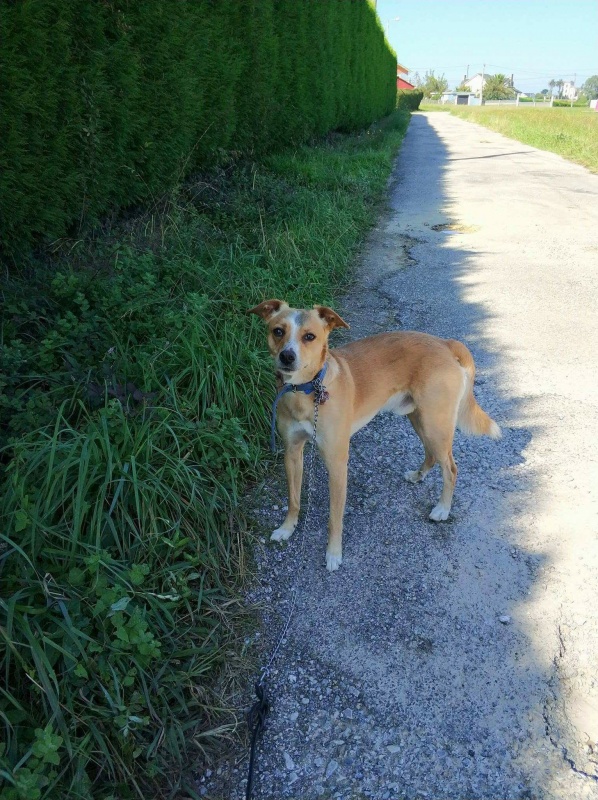 Foto Tobby