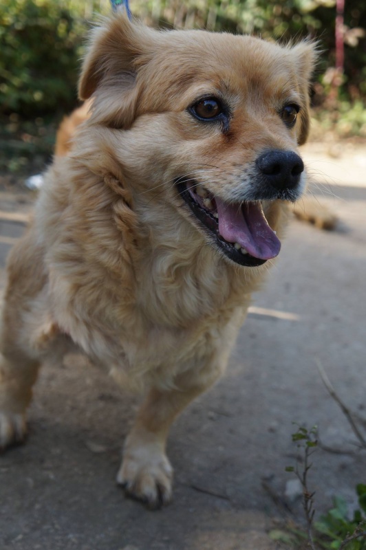 Foto Mari Tere