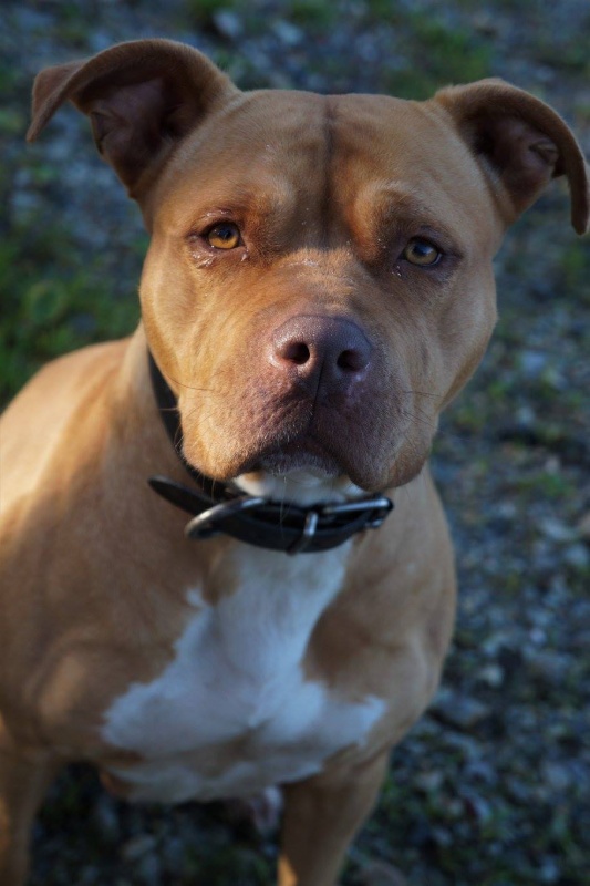 Foto Kiara