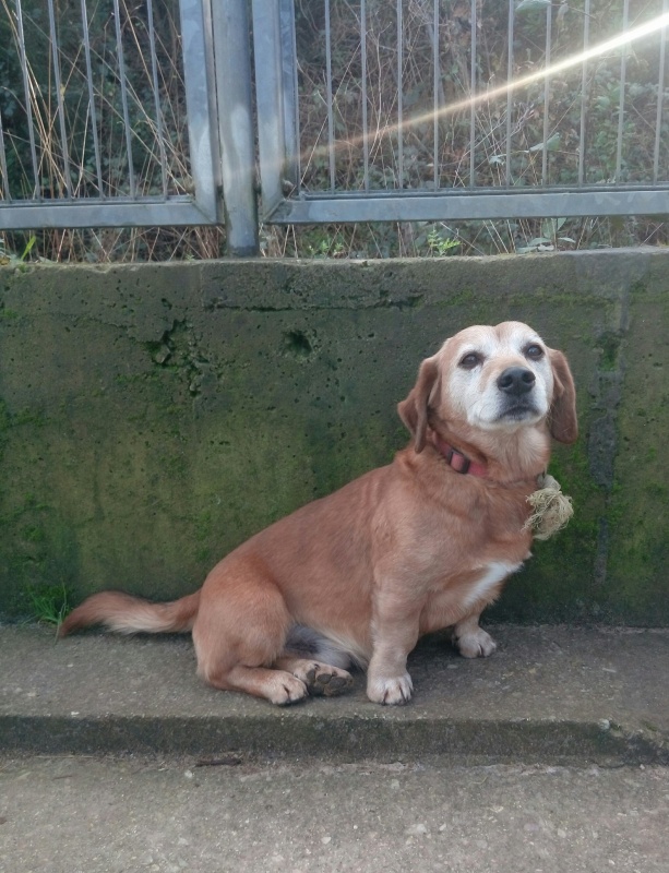Foto Tobi