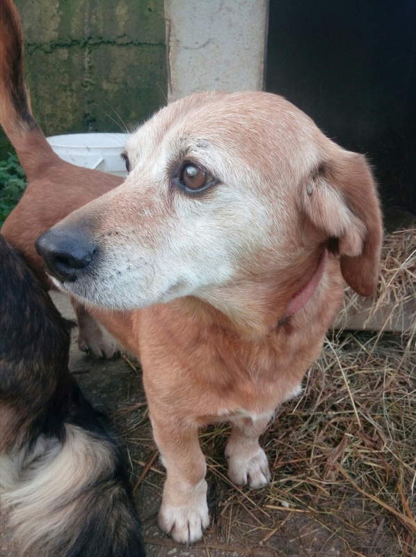 Foto Tobi