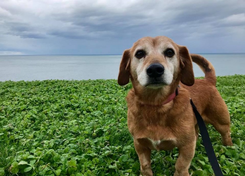 Foto Tobi