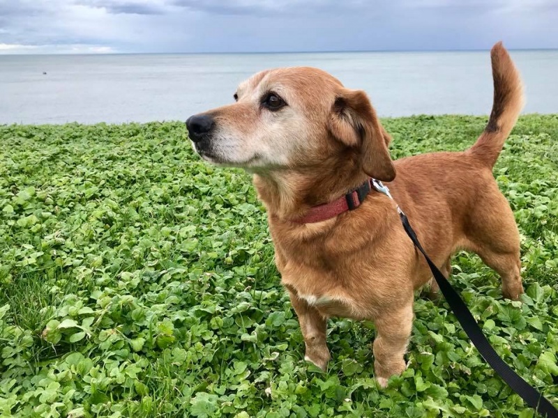 Foto Tobi