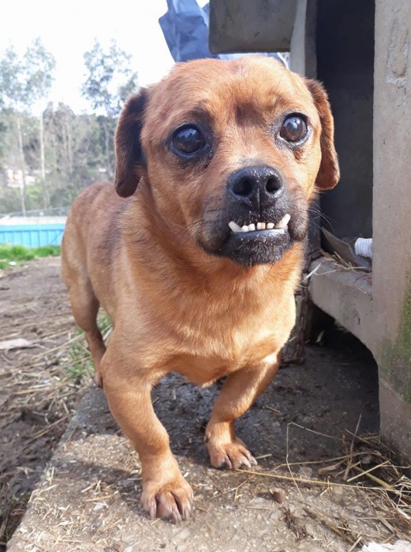 Foto Carmelito
