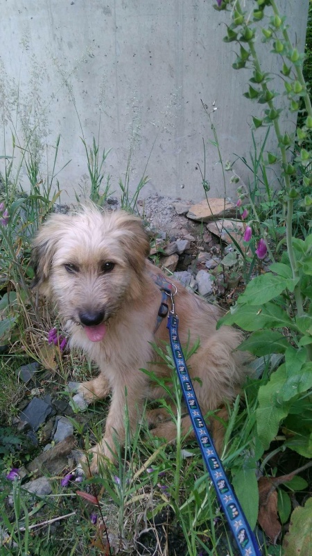 Foto Frida