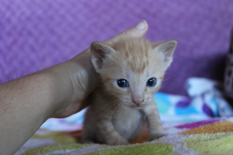 Foto Bebé