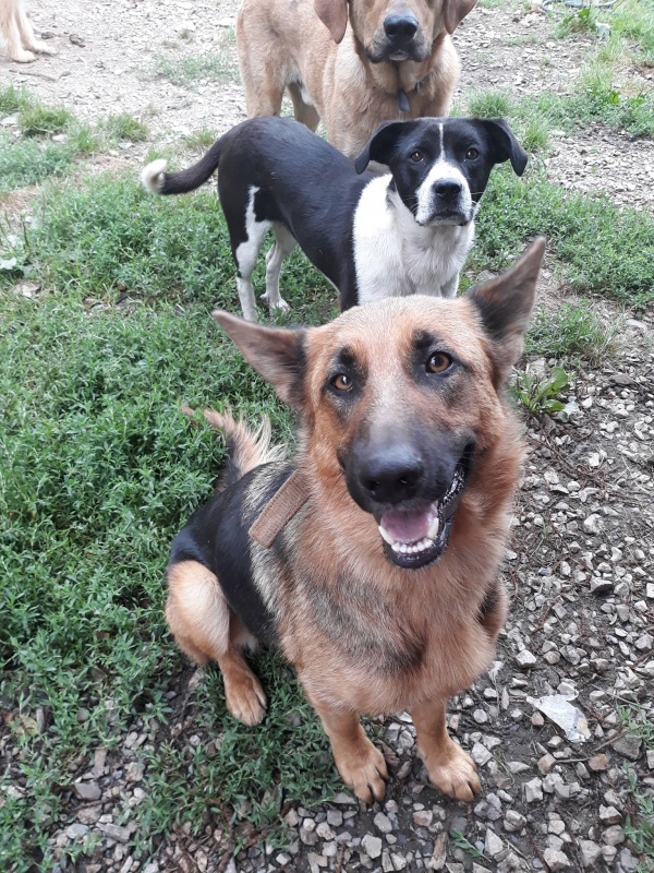 Foto Zira