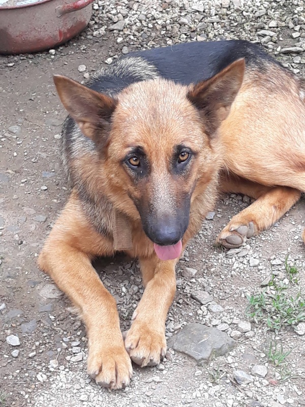 Foto Zira
