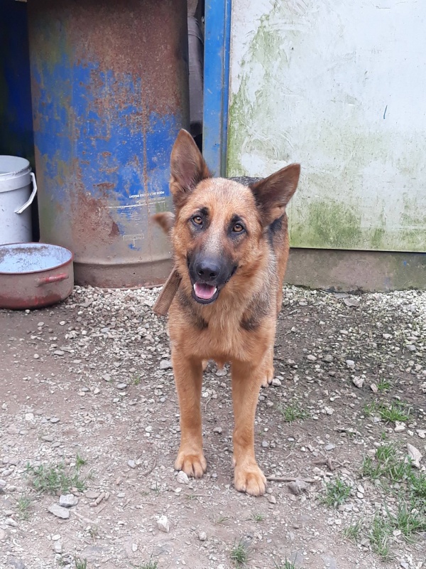 Foto Zira