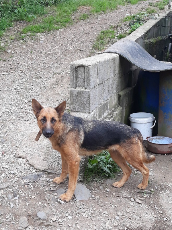 Foto Zira