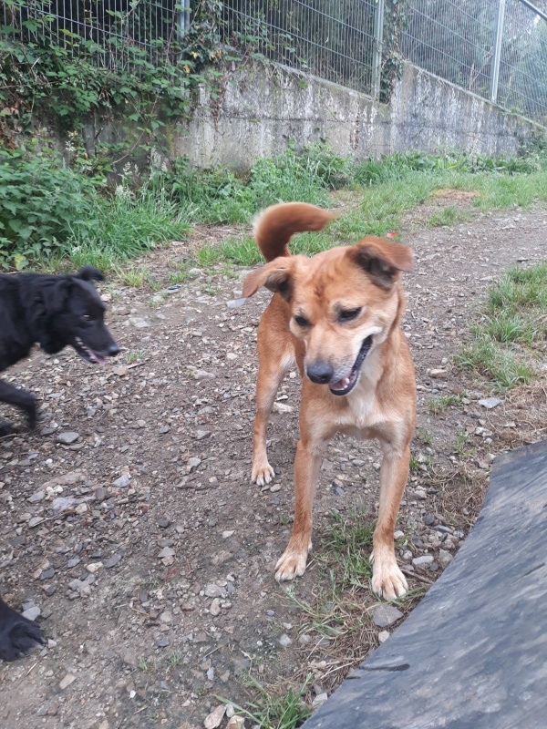 Foto Punky