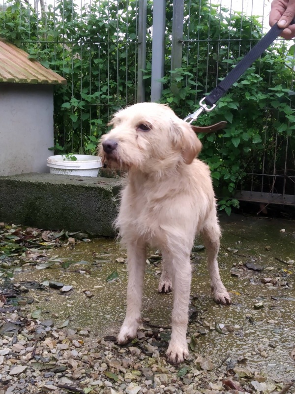 Foto Rocky