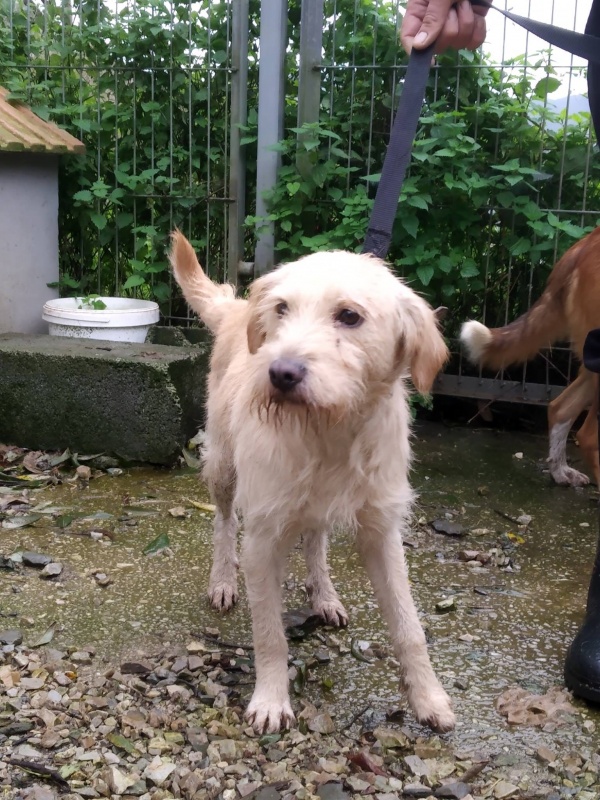 Foto Rocky