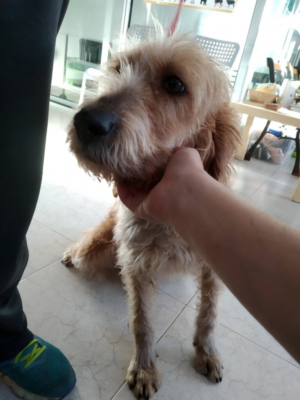 Foto Bela