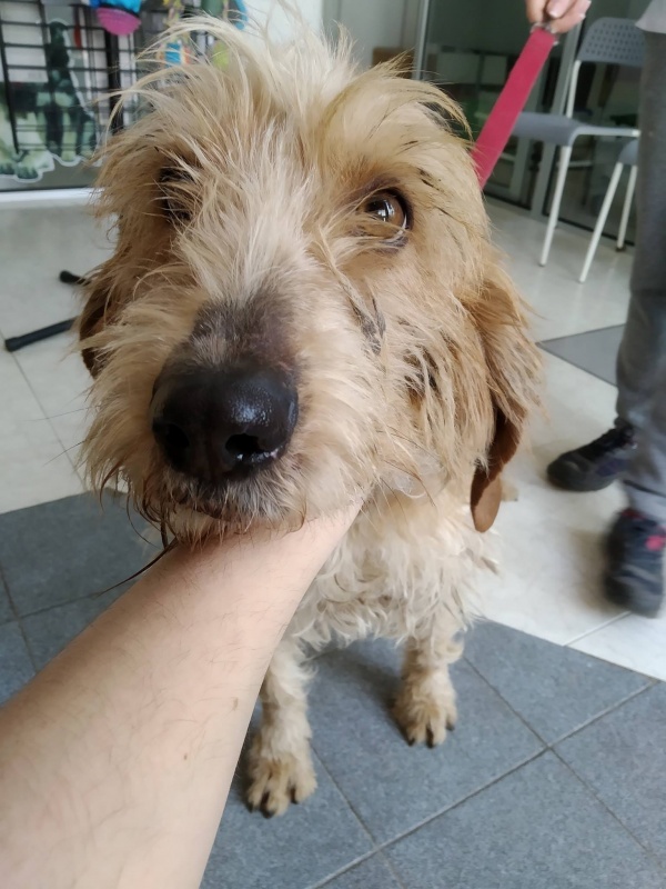 Foto Bela