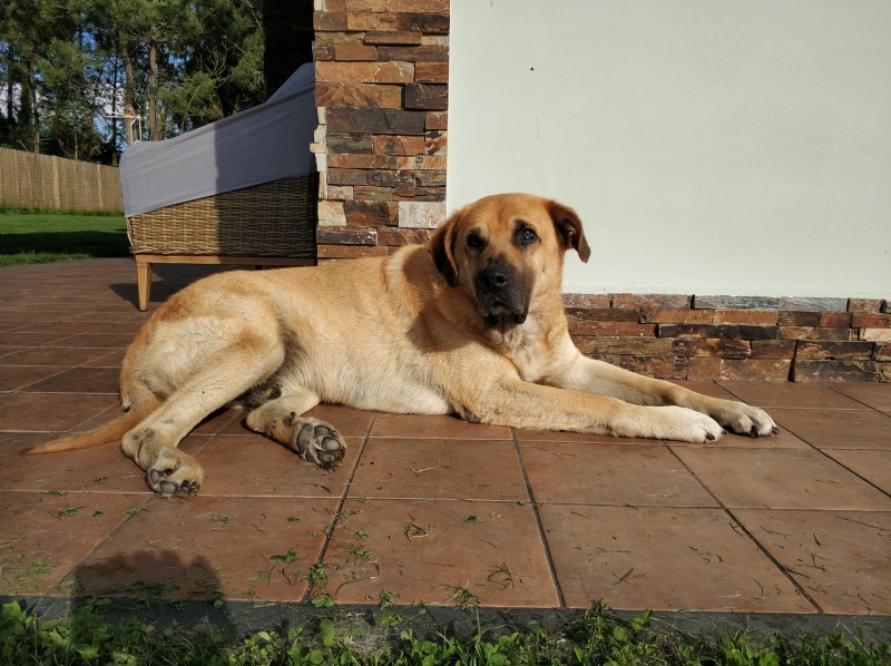 Foto Sil