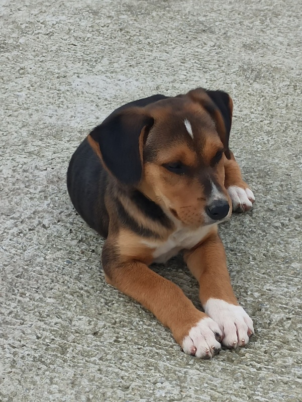 Foto Fiona